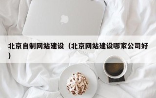 攸县北京自制网站建设（北京网站建设哪家公司好）